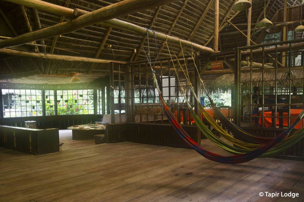 Tapir Social area